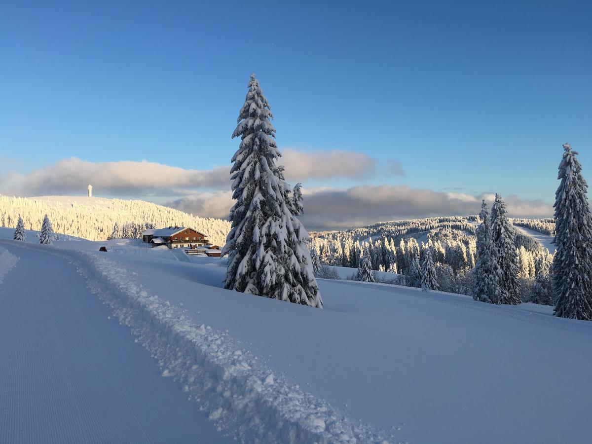 Berggasthof-Pension Todtnauer Hutte Feldberg  Exterior foto